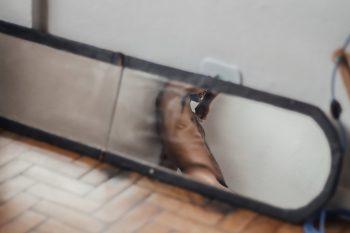 Accro au tir à l’arc et aux plaisirs partagés rencontre-Gay-Lyon